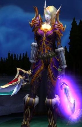 血精灵盗贼帅得没话说