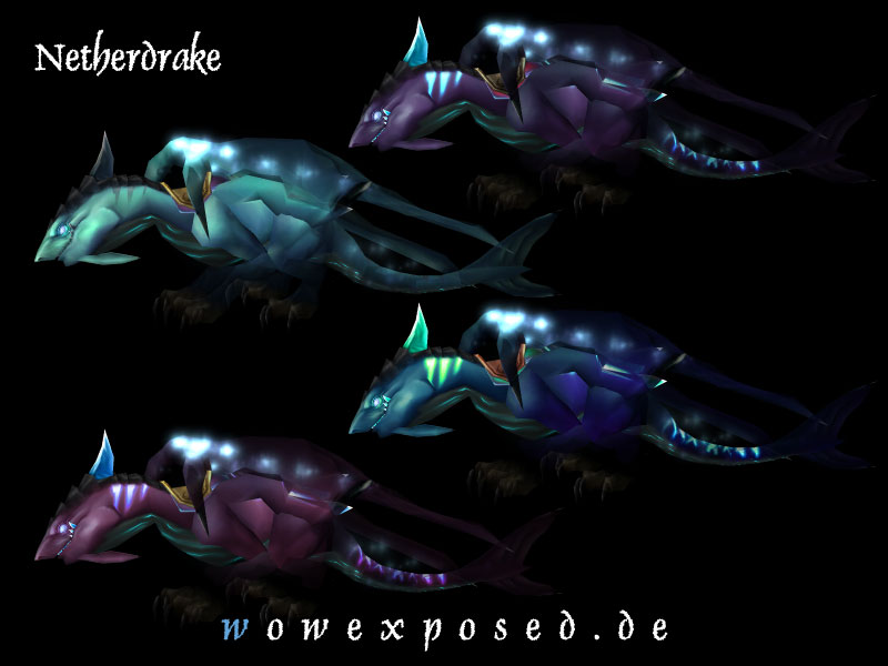 4种颜色的虚空幼龙坐骑