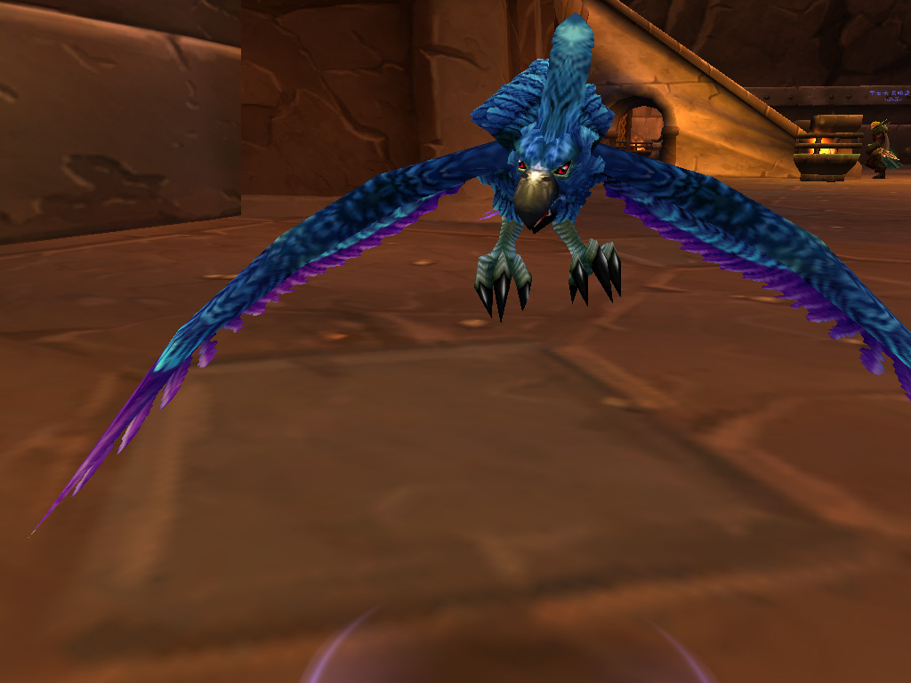 小鸟求教:花羽鹦鹉在哪能够刷到