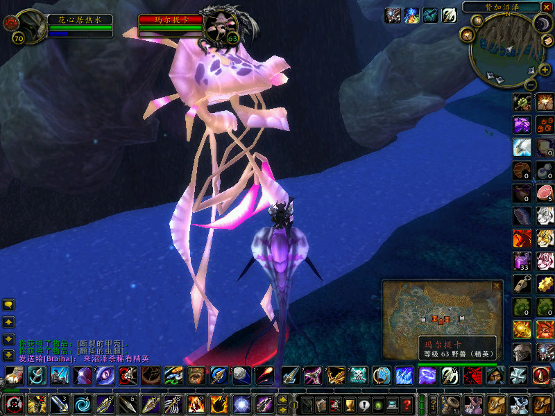 赞加沼泽的阔步者为啥不能抓