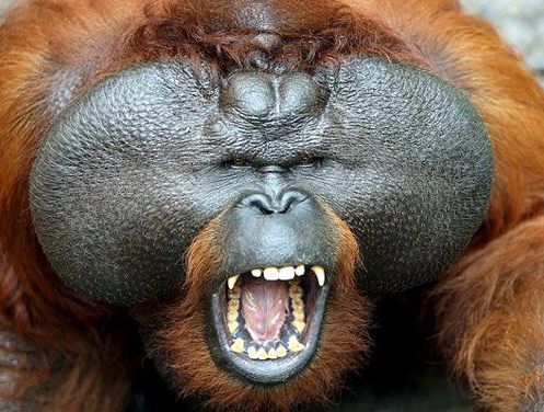 刚刚在腾讯网看到的这张图我彻底明白为啥这年头众人