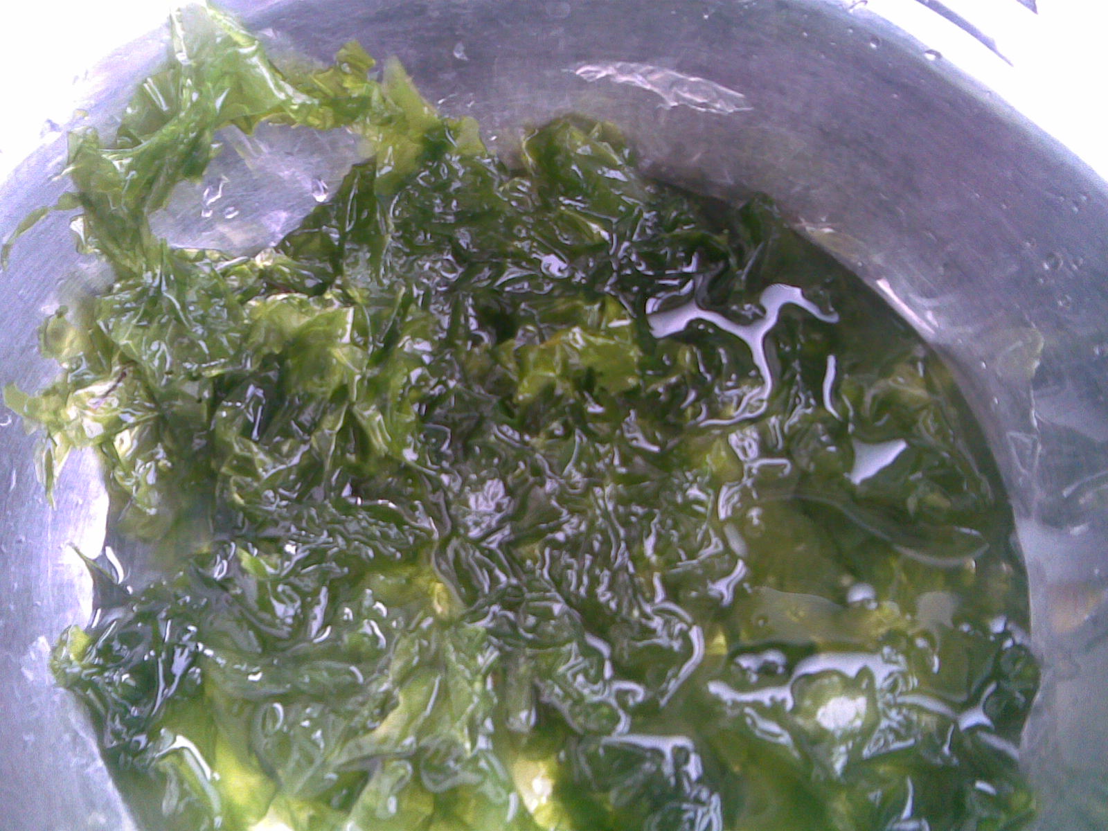 麻烦住在海边的朋友或爱吃海产品的朋友帮忙看看这是啥菜