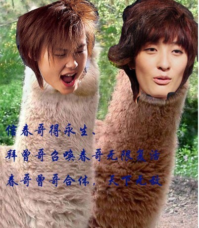 无聊你们信曾哥么