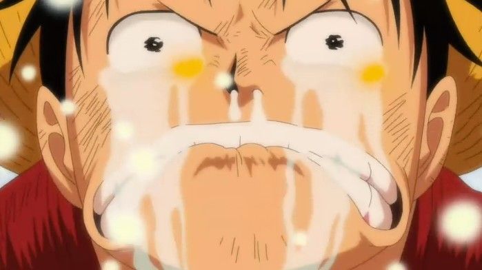 经过我25年潜心研究终于发现路飞的原型了