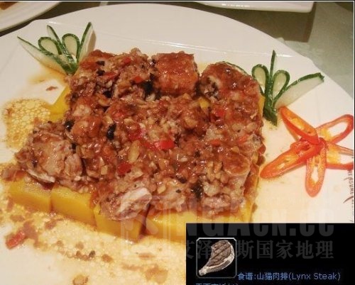 有图有真相wow主题餐馆藏宝海湾各色美食独具风味