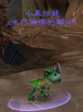 请教这些宠物是怎么来的