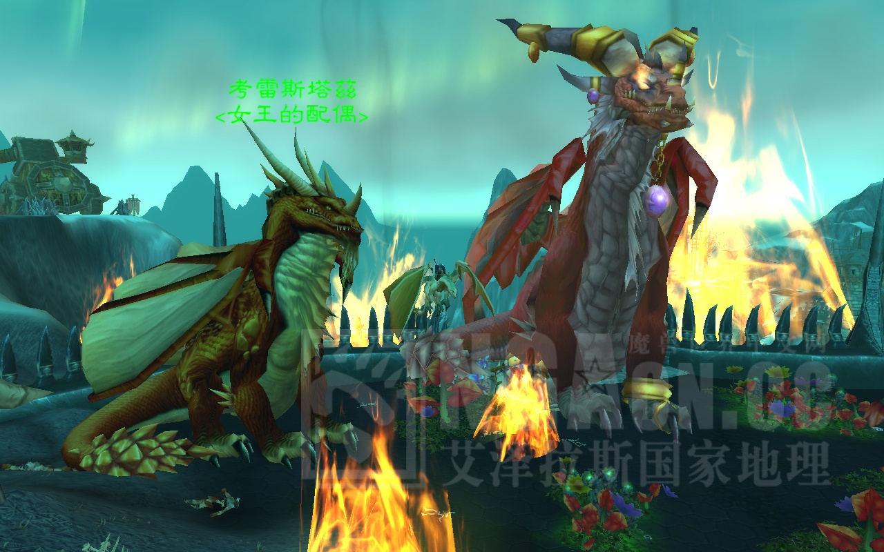 死亡之翼很大其实红龙也不小黑龙vs红龙大比拼