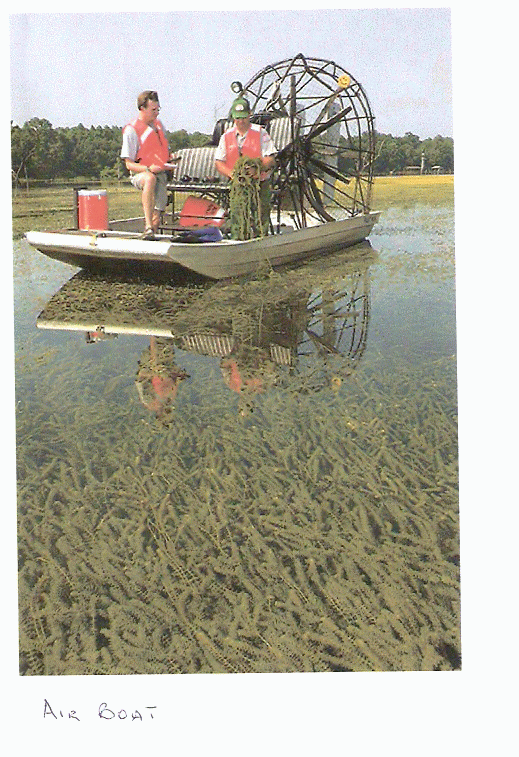 江湖救急风力船风力艇airboat国内有没大的制造商有图