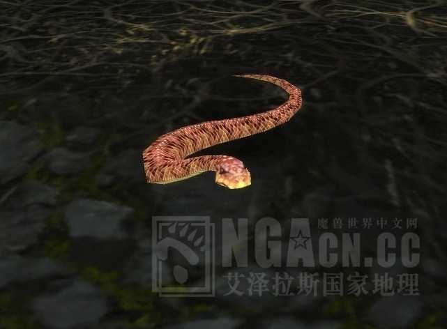 wow里那些恐怖的梦魇:蛇!