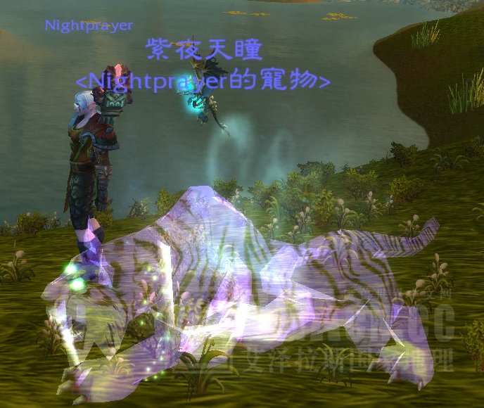 个清晨抓捕北裂境4灵兽,30日抓捕CTM惧龟+麦