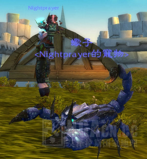 个清晨抓捕北裂境4灵兽,30日抓捕CTM惧龟+麦