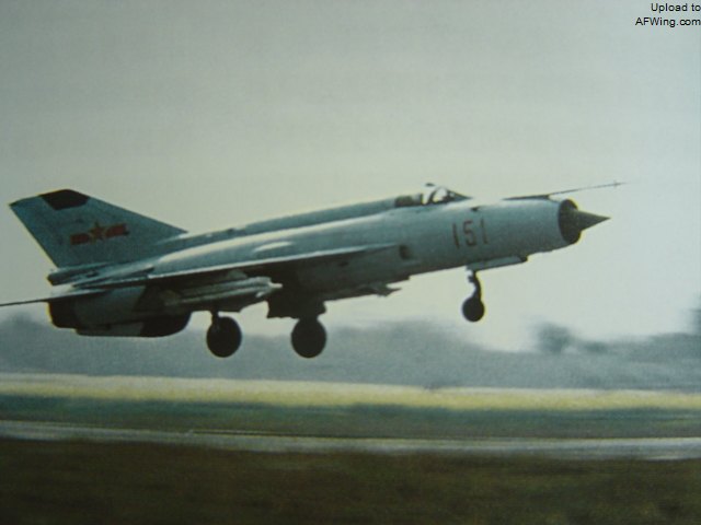 那年那兔和现在这兔的家当