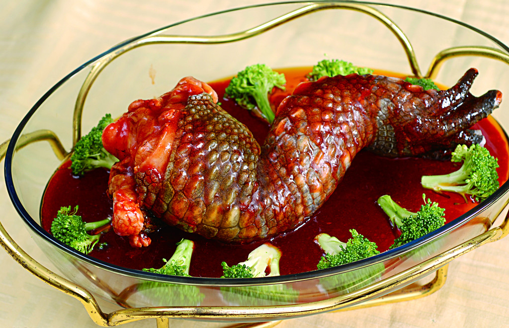 这是一种爱有人爱我大鳄鱼嘛转型头像帖本尊出现