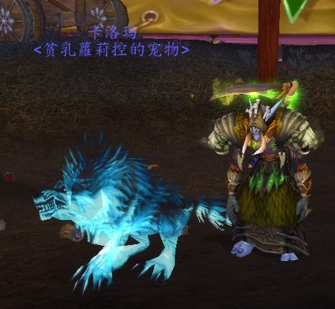 锁甲43lr幻化精神领袖t13萨满