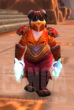 女熊猫人武僧幻化哪种好