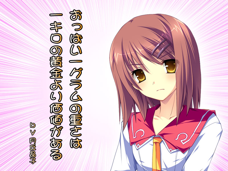 补老物花与乙女的祝福全线通关更新fd也补完了