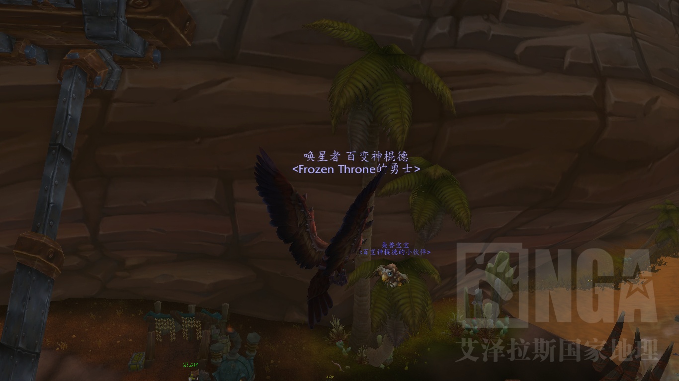 [艾泽拉斯生物学堂]关于德鲁伊枭兽形态前肢结