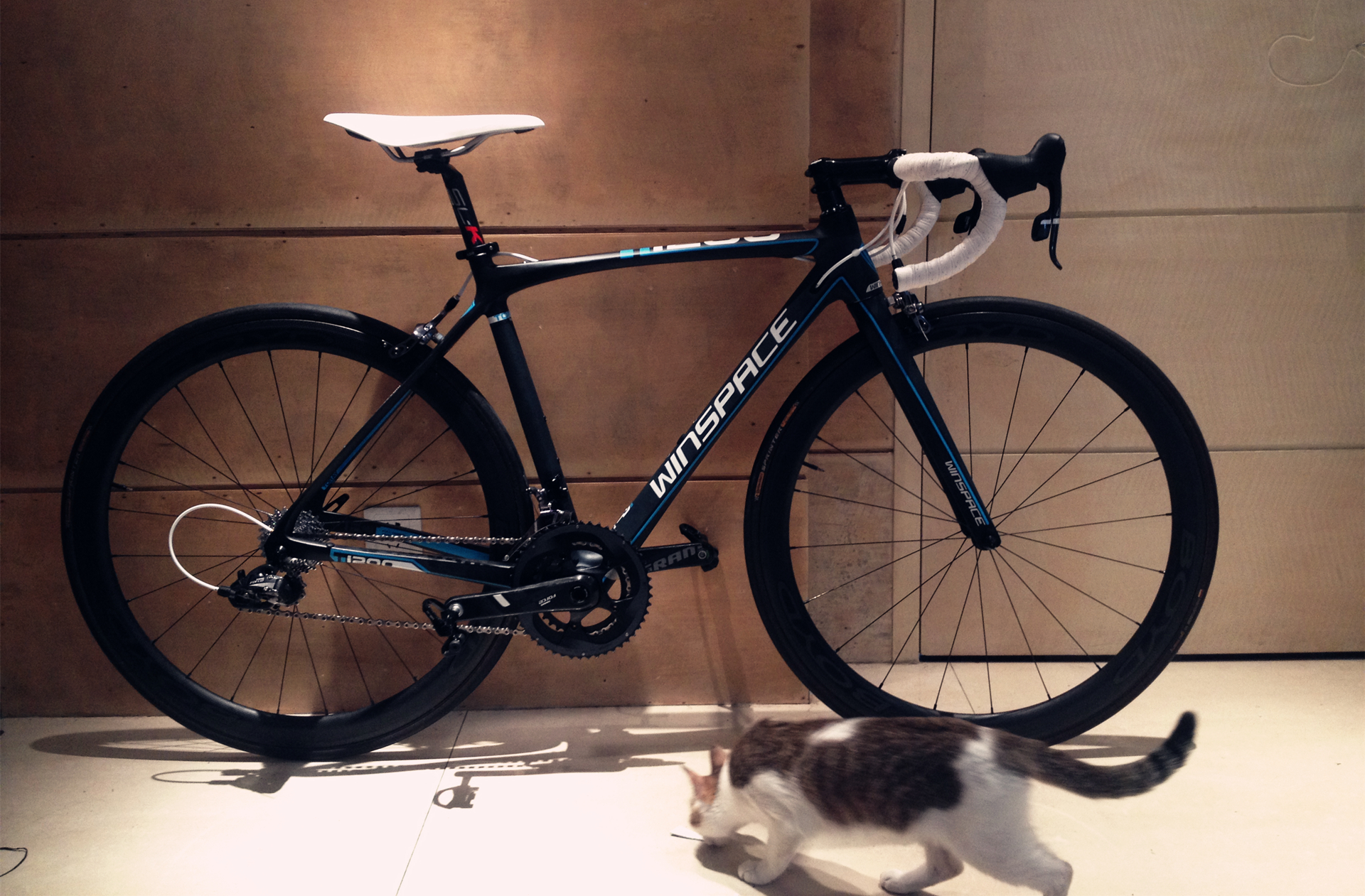 小五出品一图流winspacet1200