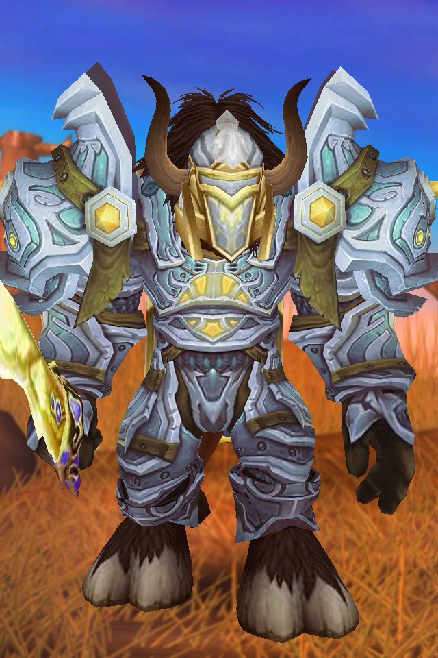 上次在咱这圣光区看到有人秀幻化我这这小爆脾气就忍不住了都什么品味