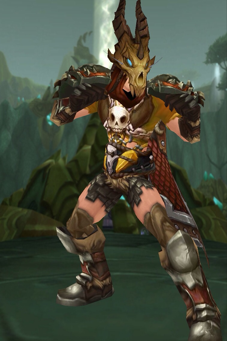 [装备提问] 人类男猎人幻化什么好看,请大家告诉下