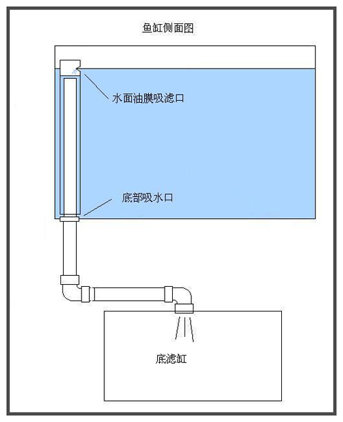 转帖新手入门系列如何养好你的第一个鱼缸