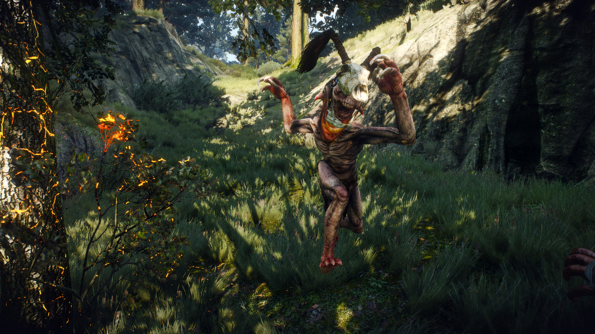 pc巫师3白狼兽性大发凌辱眼疾少妇