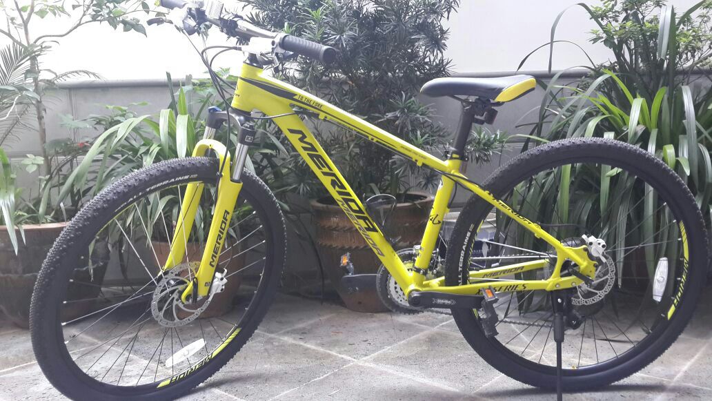 美利达出了几款破风限量版的车