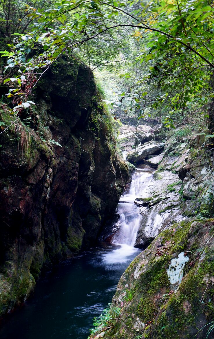 浙江衢州龙溪钱江源