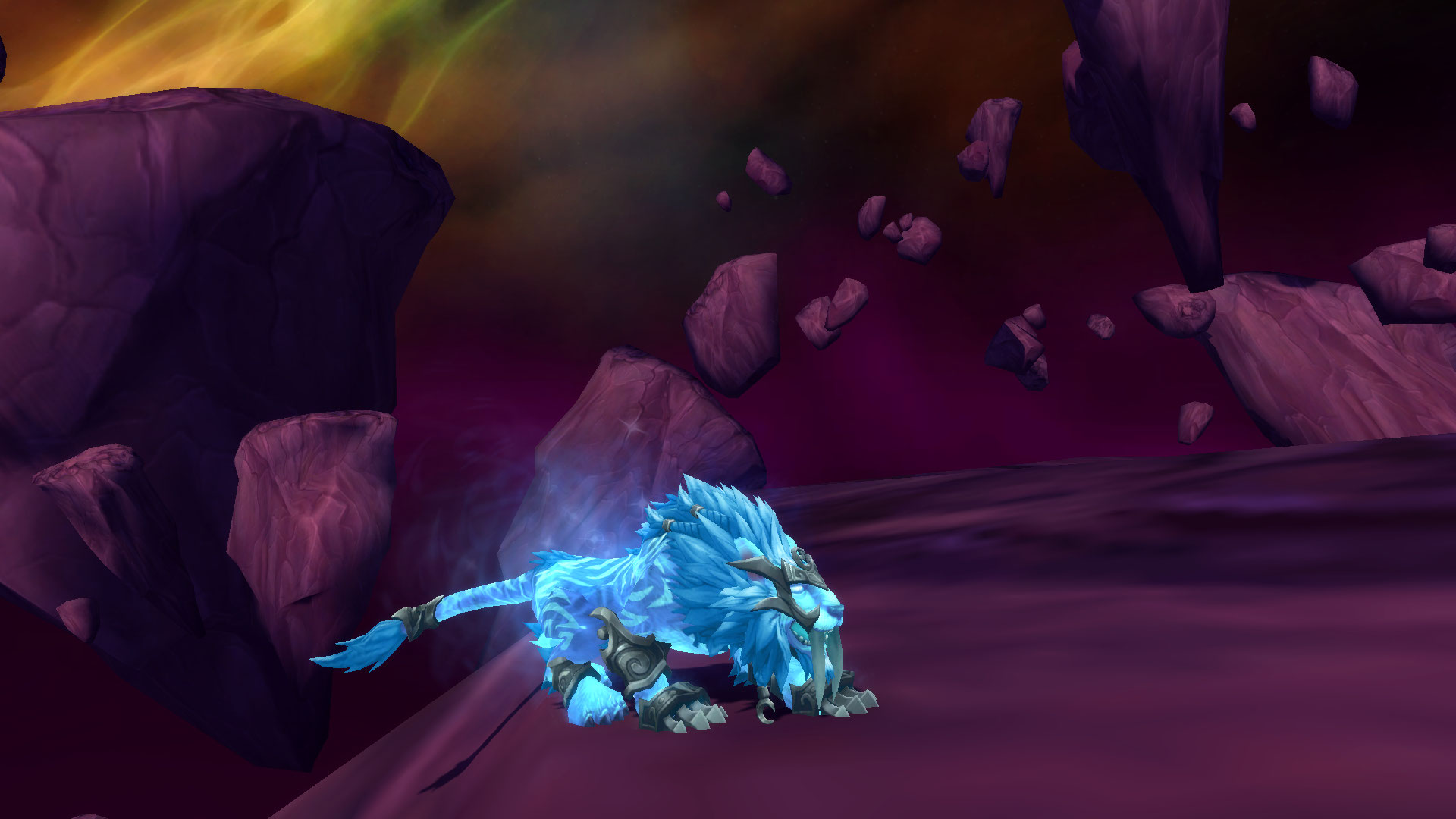 legionbeta70最新德鲁伊熊猫咕形态20种大屁股19种猫咪和3种大咕咕