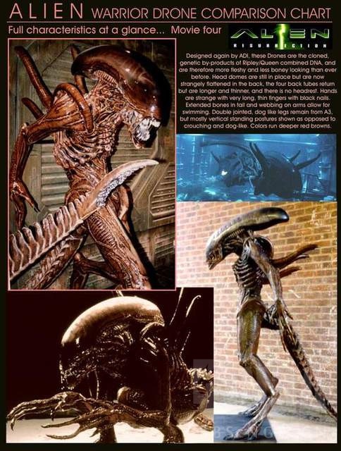 一月影评转帖穿过你的胸膛我的脸异形生物详解百科最新增加了铁血战士