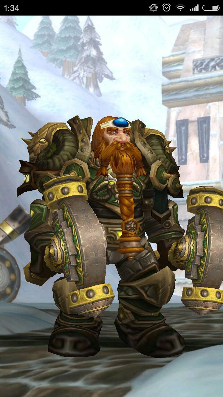 [板甲]战士t8,全板甲职业可幻化