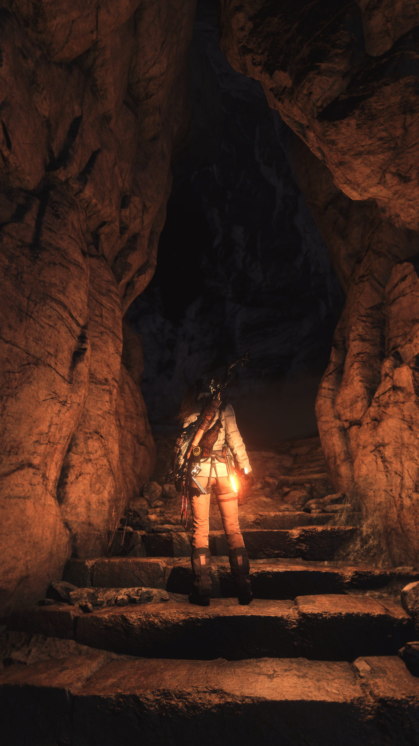 搬运搬几张老外截的古墓丽影10手姬壁纸