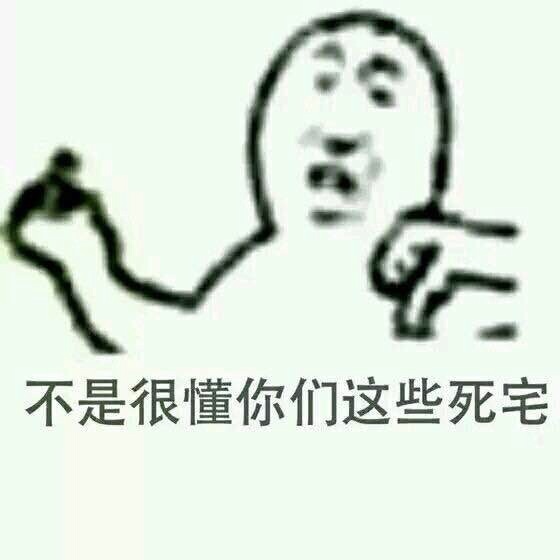 感想就是老外死宅真多