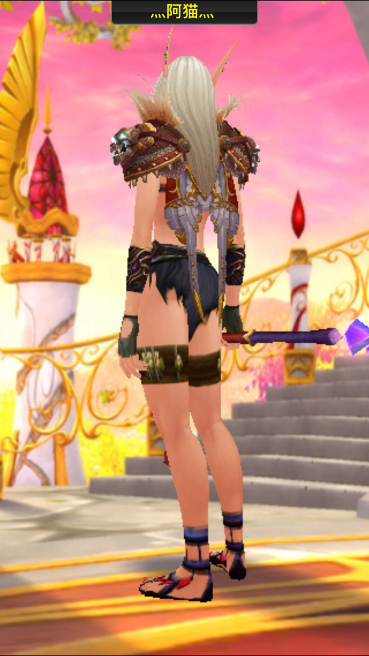 血精灵武僧幻化