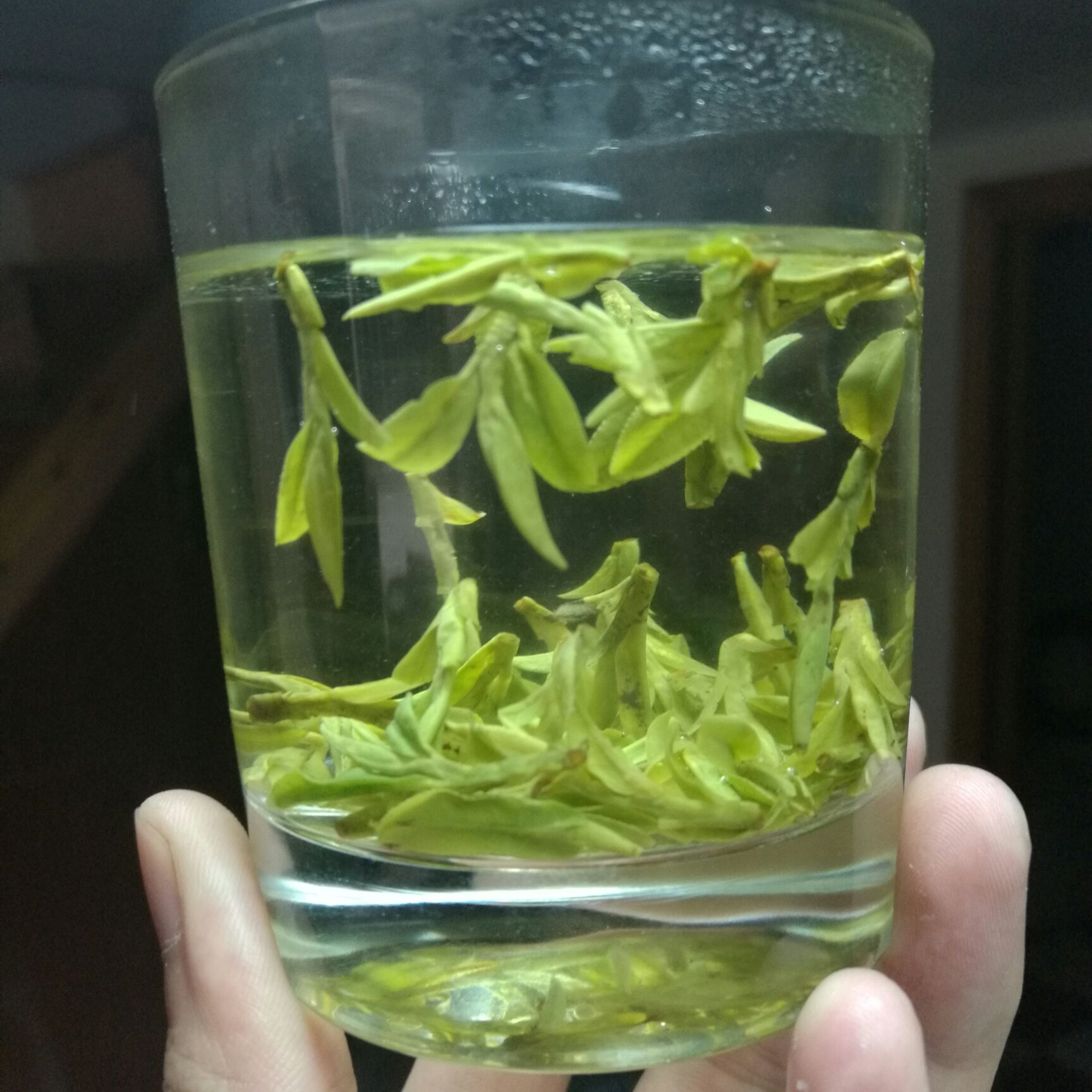 手机拍的明前龙井