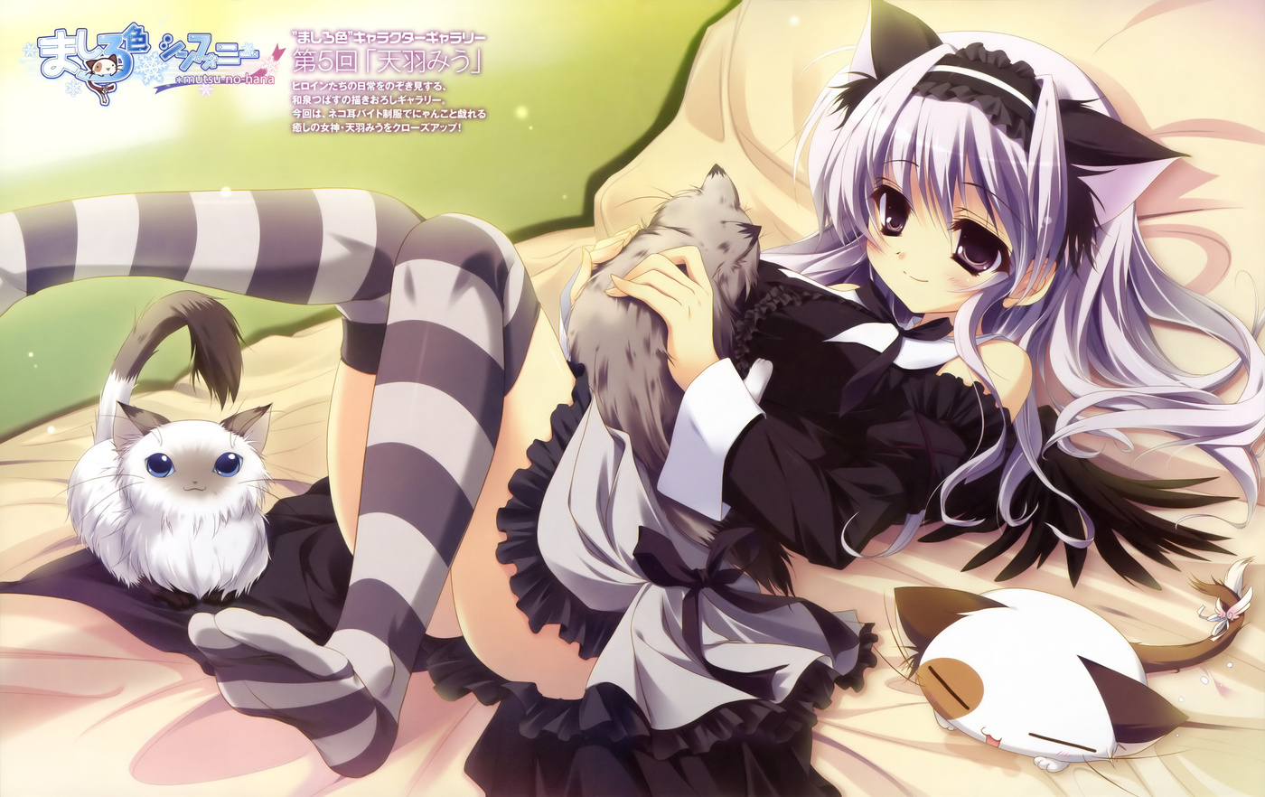 游戏安利栏目张嘴吃药第14期甜蜜的感动来安利些恋爱游戏吧