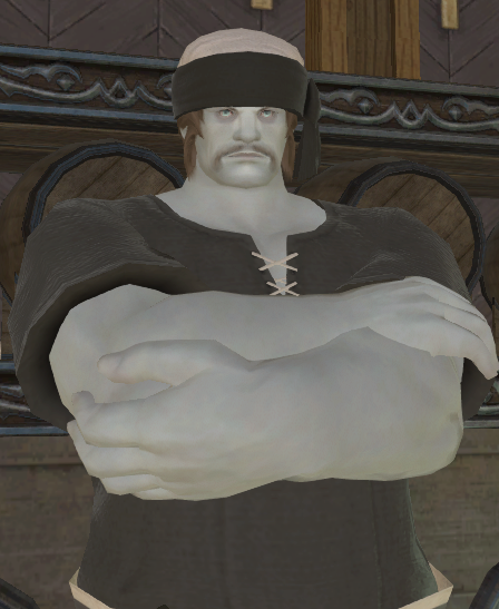 求助住宅内各类商人npc造型