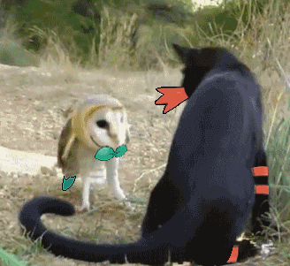 328_301gif 动态图 动图