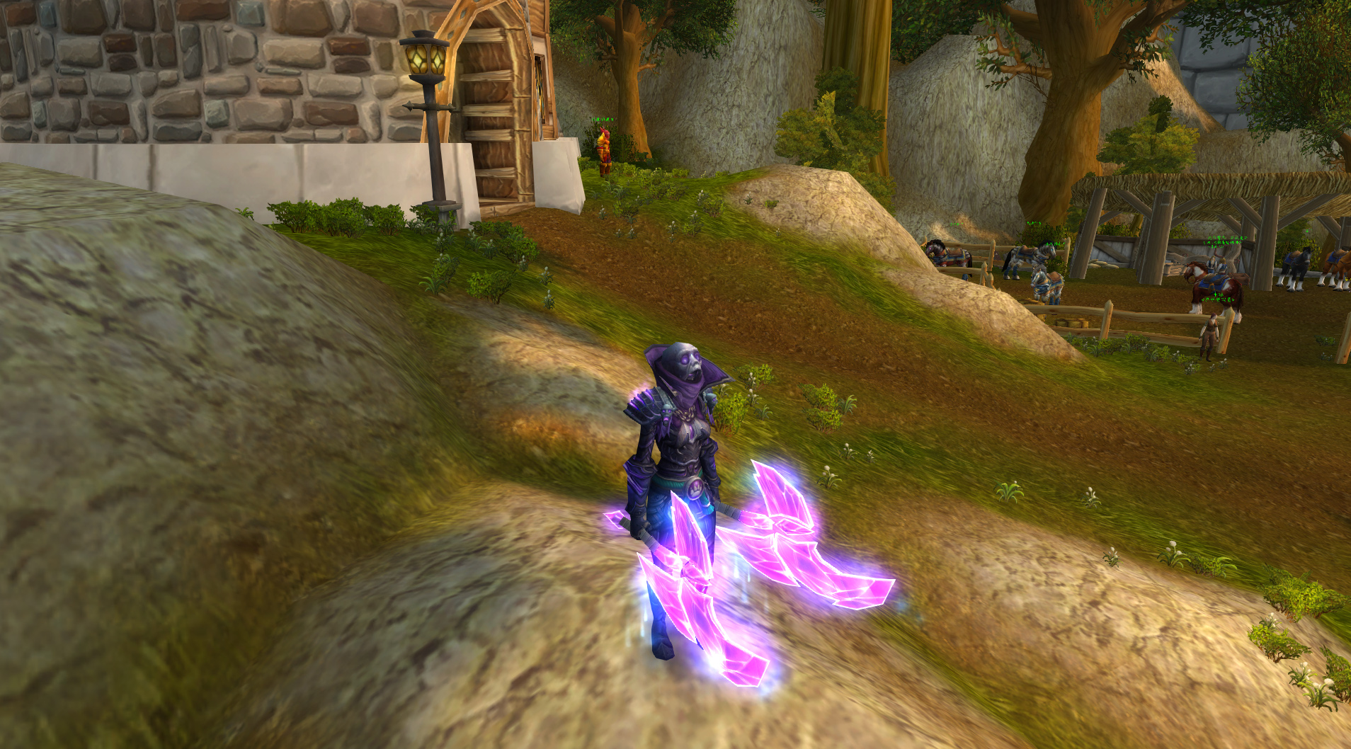 皮甲盗贼两种难度的t8幻化紫色红色