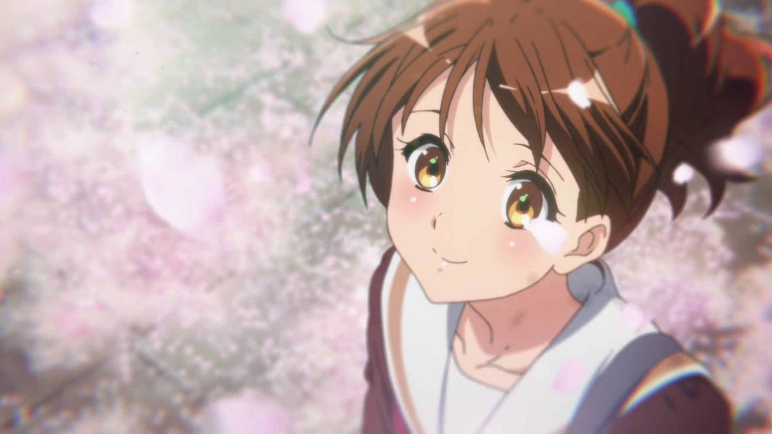 京都动画府立北宇治高等学校吹奏部附属病院吹响吧上低音号2024年见证