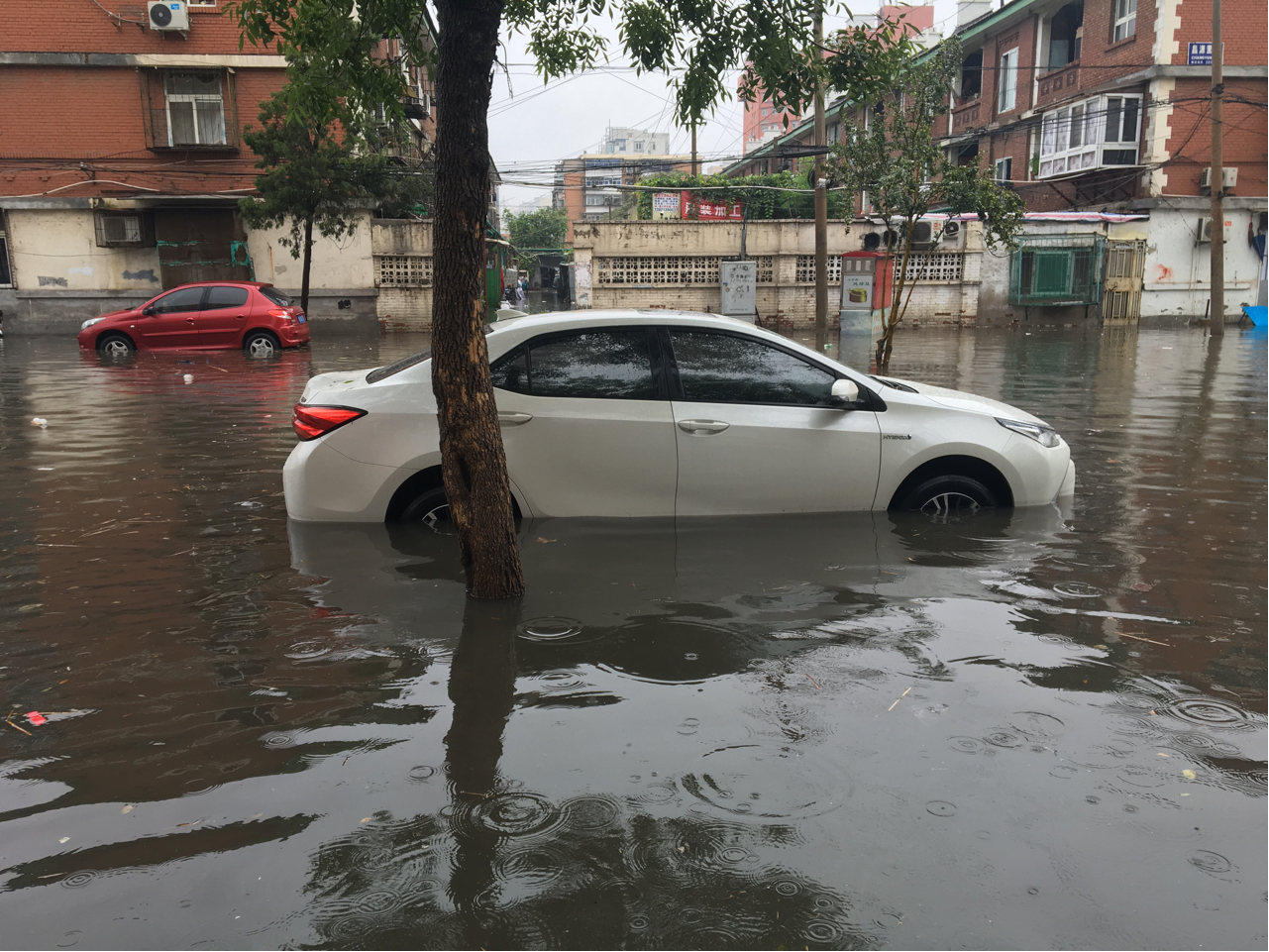 水泡车图片大全高清图片