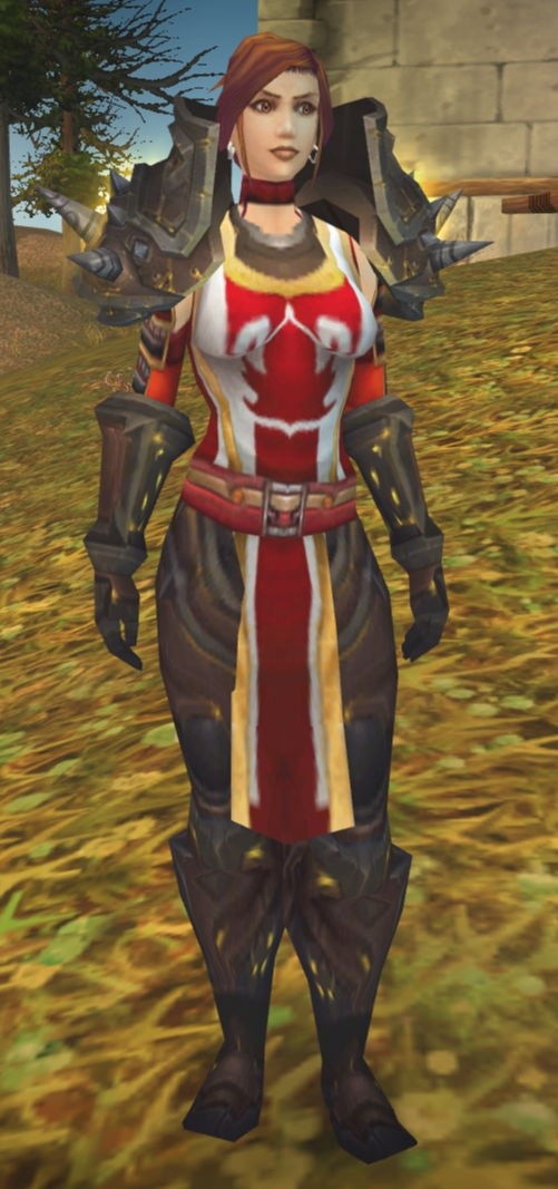 [幻化] 血色十字军的幻化还是蛮有感觉的,暴雪良心了