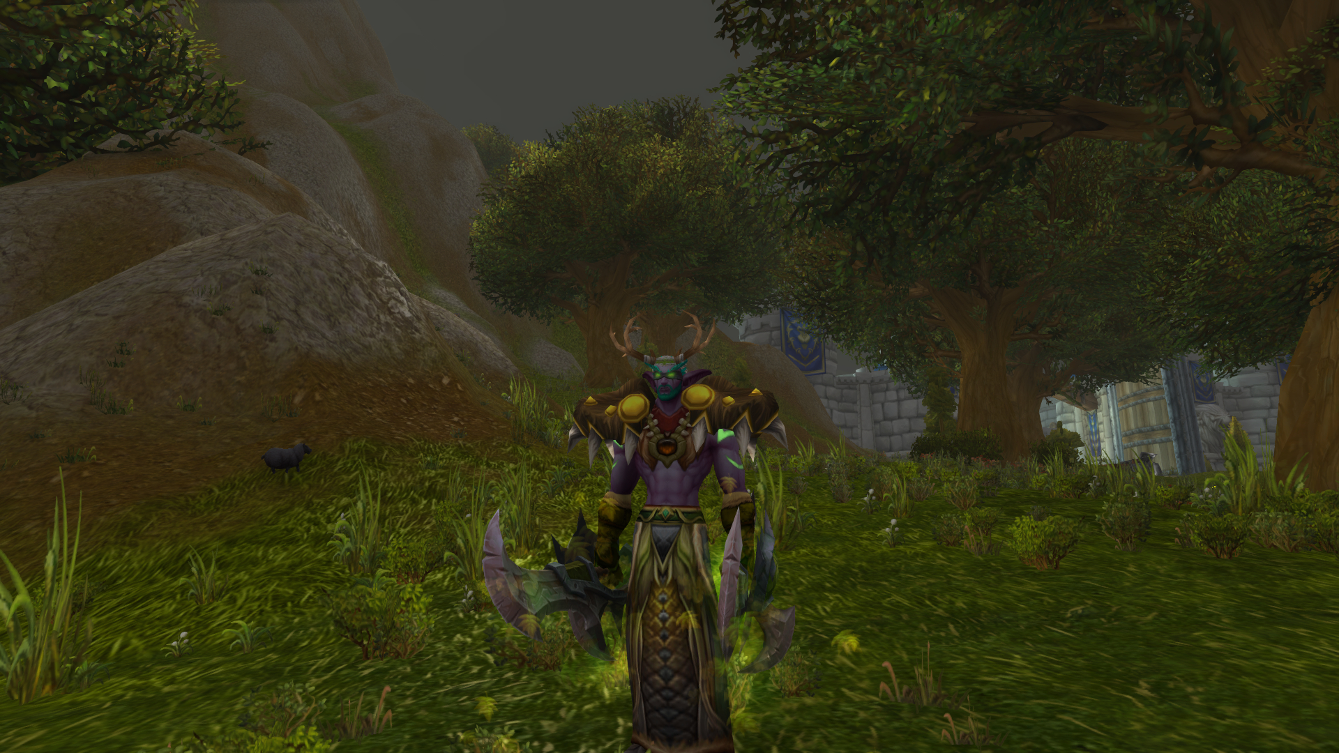 暗夜男dh幻化福利造化弄人系列大德鲁伊伊利丹丶怒风