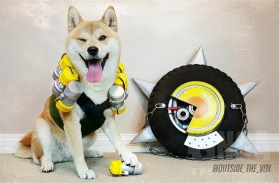 [搬运] 守汪先锋