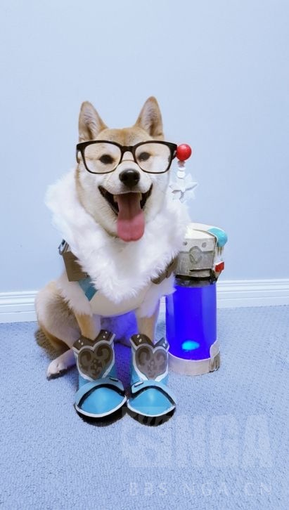 [搬运] 守汪先锋