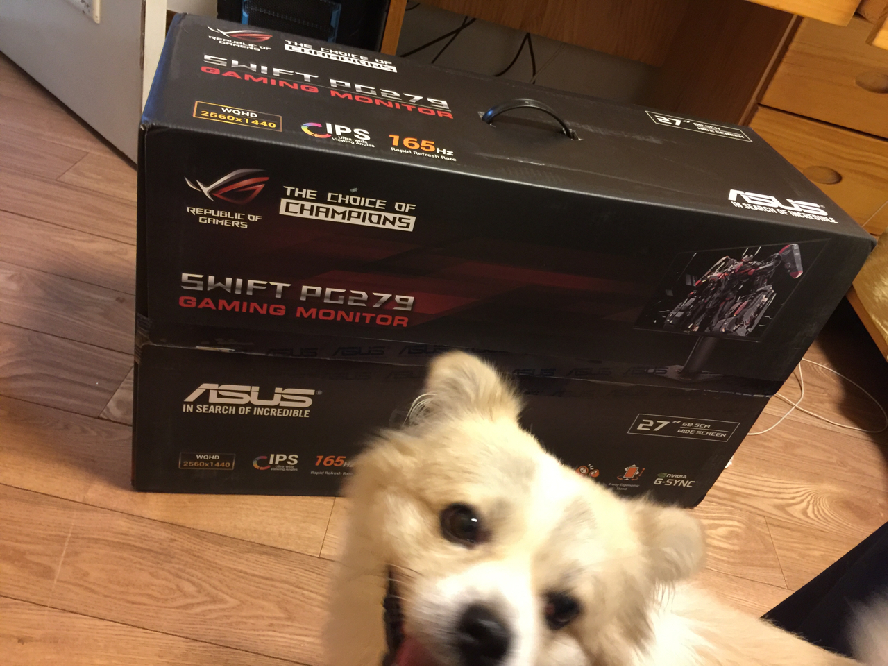 [讨论] 问一下各位有144hz显示器的朋友。5MS