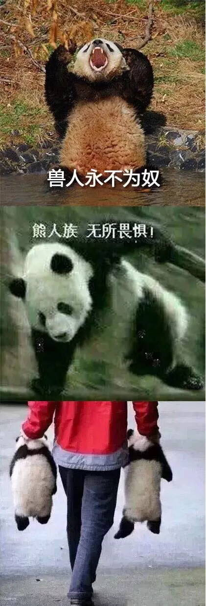 熊猫人永不为奴三张图图片
