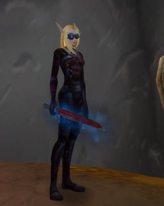 骑士血精灵女自己衣柜10多套人气常见的板甲展示与点评