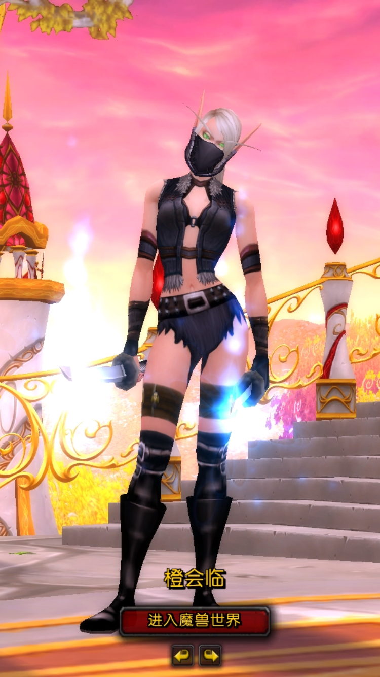 血精灵盗贼幻化