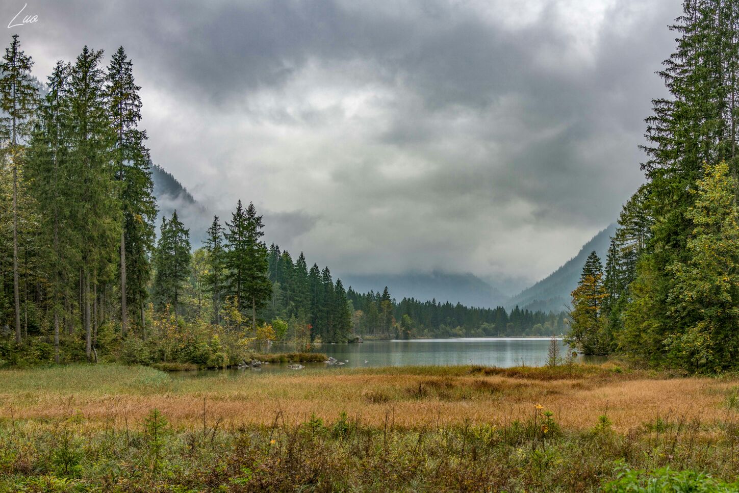 阴雨天的湖与森林